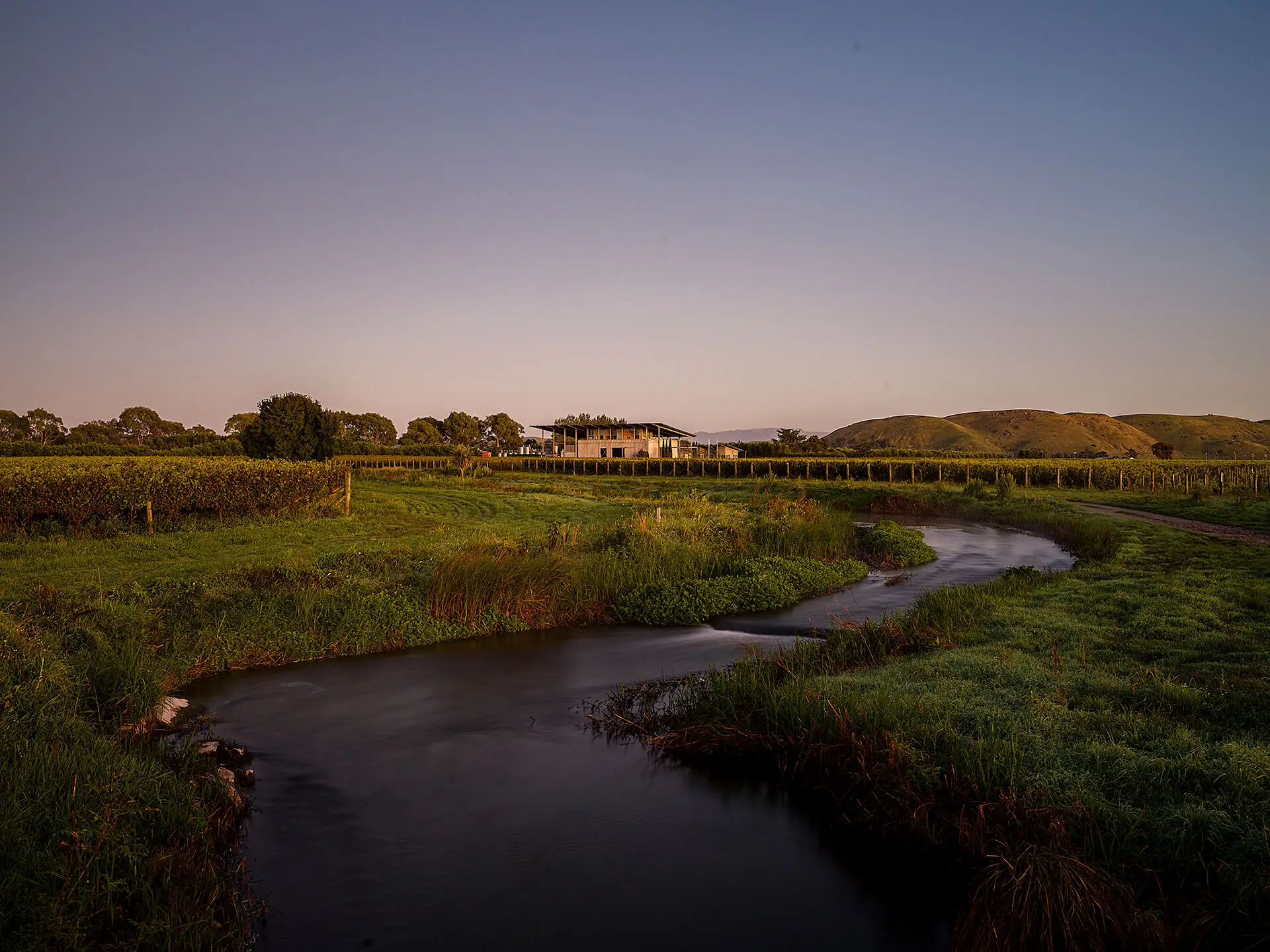 Hawkes-Bay-Yineyards-NZ