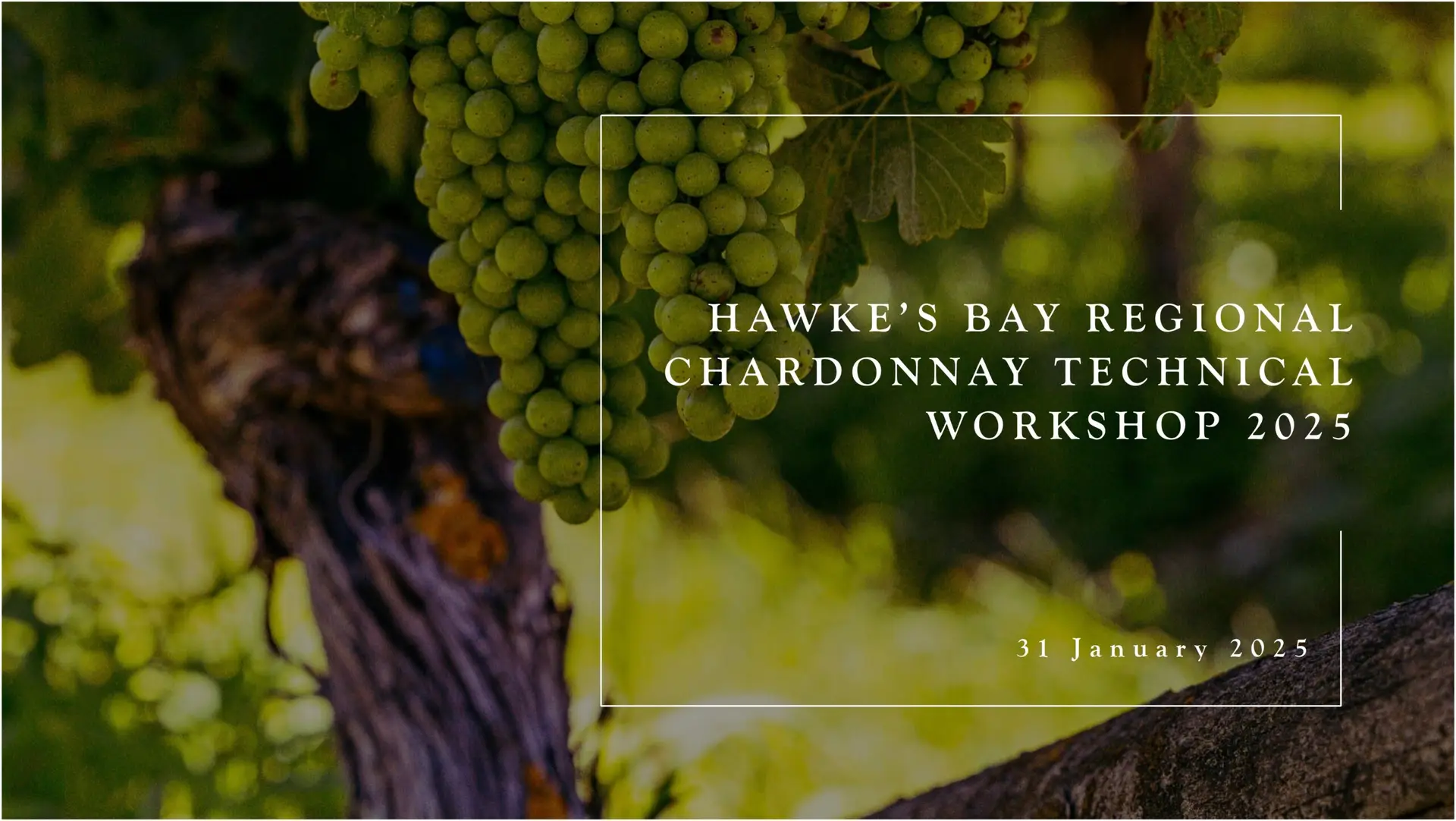 Chardonnay Technical Workshop